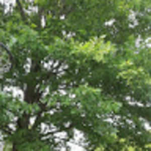 Meet your Posher, Domingo